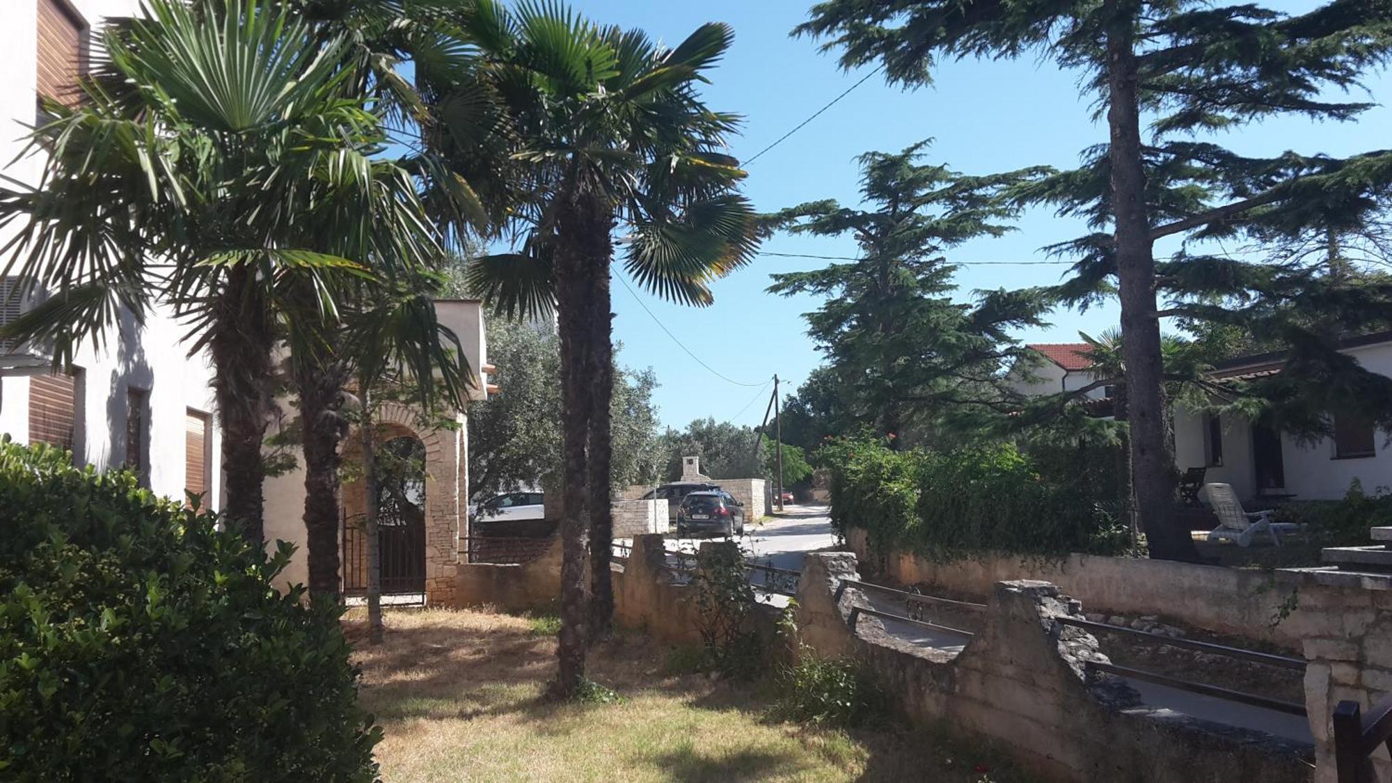 Apartment Zlata Vrcevan Medulin Dış mekan fotoğraf